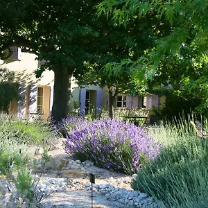 Couleur Lavande France